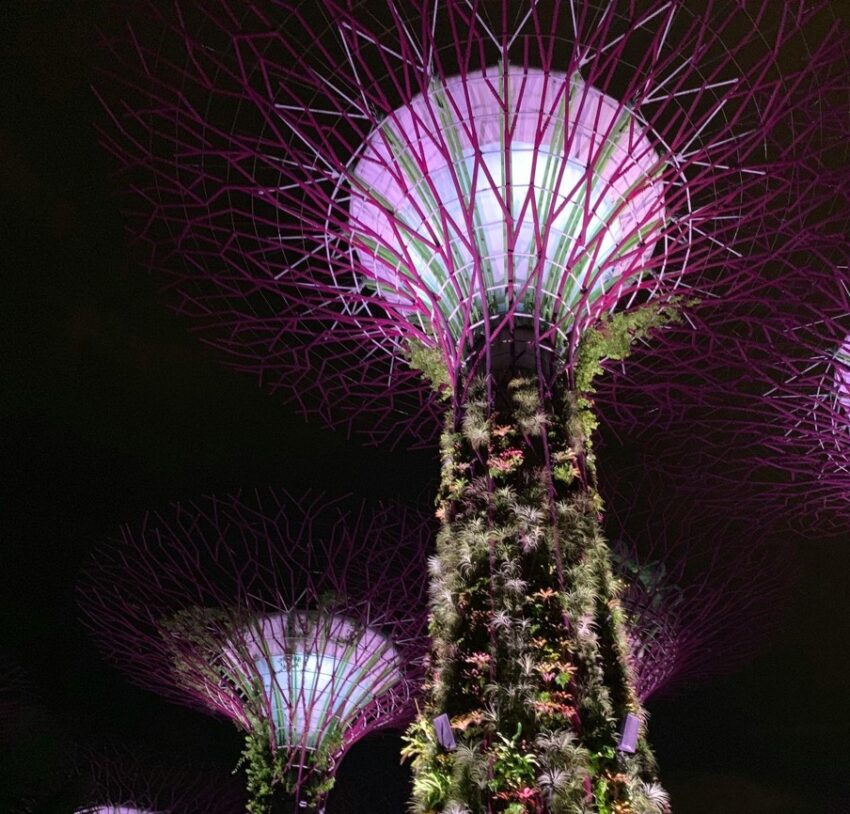 Designing Spaces with Artificial Trees